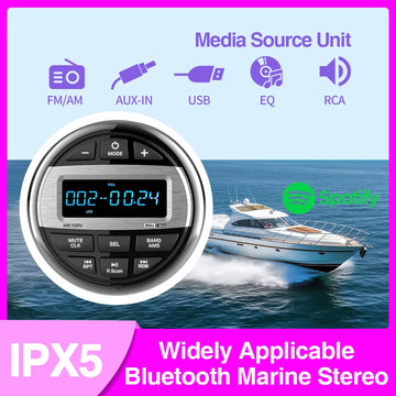 Bluetooth Stereo System